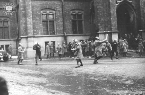 Milicjanci atakujący przy pomocy pałek studentów pod budynkiem Collegium Novum Uniwersytetu Jagiellońskiego. Kraków, marzec 1968 r. (fot. z zasobu IPN)