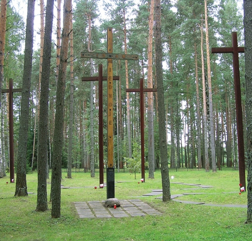 Polski Cmentarz Wojenny w Miednoje (obw. twerski), doły śmierci oznaczone krzyżami (fot. RaNo/Wikimedia Commons)