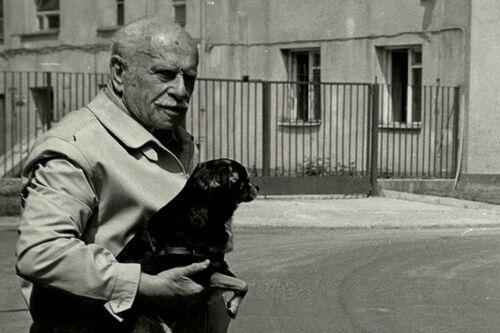 „Doktor Twardy”. Profesor Julian Aleksandrowicz (1908-1988)