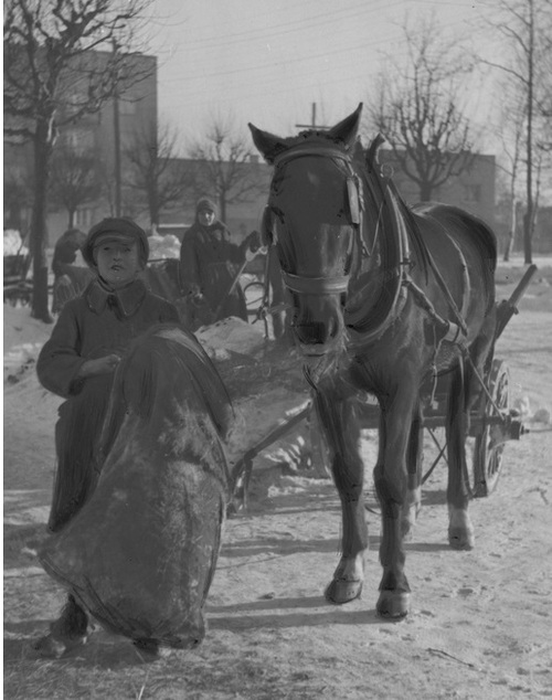 Radom. Chłopiec z workiem obroku stoi obok konia, styczeń 1942 r. (fot. z zasobu NAC)