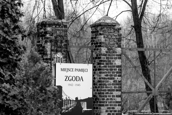 „Nie powiedziano nam, dlaczego nas zabrano”… Osadzeni w obozie w Świętochłowicach-Zgodzie w 1945 roku