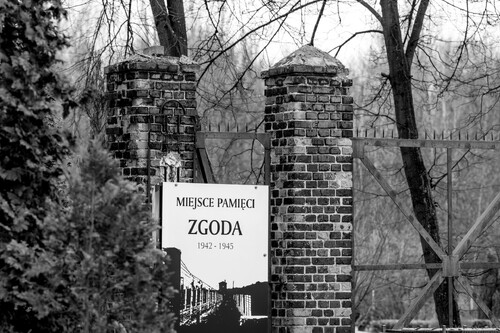 „Nie powiedziano nam, dlaczego nas zabrano”… Osadzeni w obozie w Świętochłowicach-Zgodzie w 1945 roku