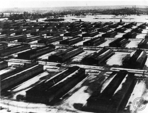 Auschwitz w oczach więźniów. Zadeptanie