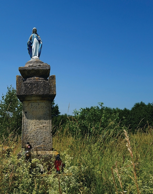 Ocalała figura Matki Boskiej na cmentarzu w Hucie Pieniackiej (fot. A. Wojtkowska)