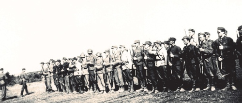 Przegląd drugiej kompanii piątego batalionu siedemdziesiątego siódmego pułku piechoty AK po akcji w Podweryszkach, Butrymańce, czerwiec 1944 roku