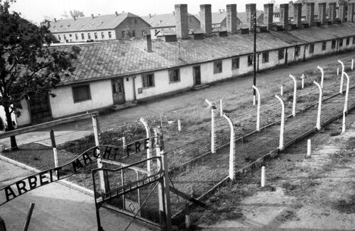Auschwitz w oczach więźniów. Miłość, poświęcenie, przyjaźń