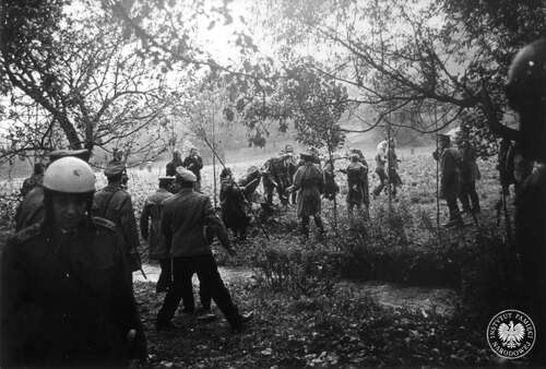 Milicjanci usuwający protestujące kobiety z rejonu rozbiórki, 12 sierpnia 1974 roku