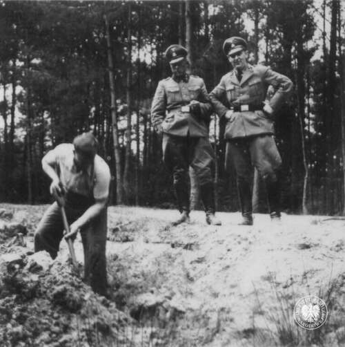 Przygotowania do egzekucji w Wiśniówce (koło Kielc), rok 1942. Dwóch zadowolonych funkcjonariuszy niemieckiego państwa nadzoruje kopanie grobu przez skazańca (fot. z zasobu IPN)