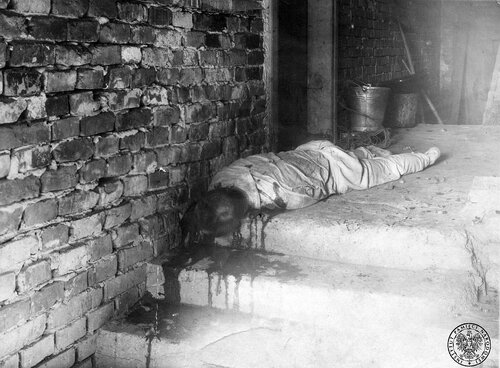 Zwłoki Józefa Hachlicy, prezesa Koła PSL w Krakowie-Prokocimiu, zamordowanego 22 października 1946 r. przed drzwiami własnego domu (fot. z zasobu AIPN)
