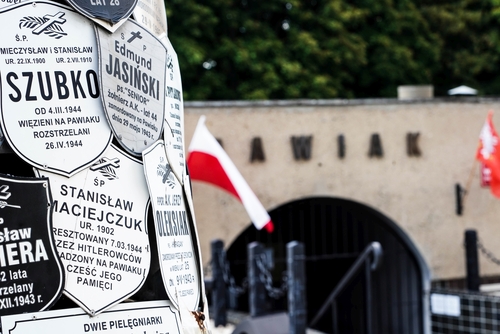 Pomnik Drzewa Pawiackiego obok Muzeum Więzienia Pawiak, 2021 r. (fot. IPN)
