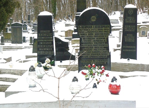 Symboliczny grób Hermana Liebermana na nowym cmentarzu żydowskim w Przemyślu, 2017 r. (fot. Wikimedia Commons/Jarosław Góralczyk – Praca własna/CC BY-SA 4.0)