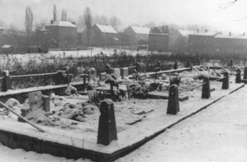 Mogiła zbiorowa ofiar masakry sowieckiej w Miechowicach 25-27 stycznia 1945 r., fotografia z 1968 r.