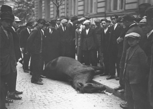 Grupa przechodniów podczas oglądania na ulicy zabitego konia, maj 1926 (NAC)